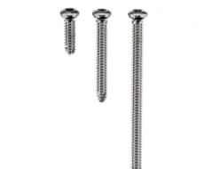 Bone Screws